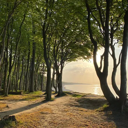 Friedrich Franz Palais 4*