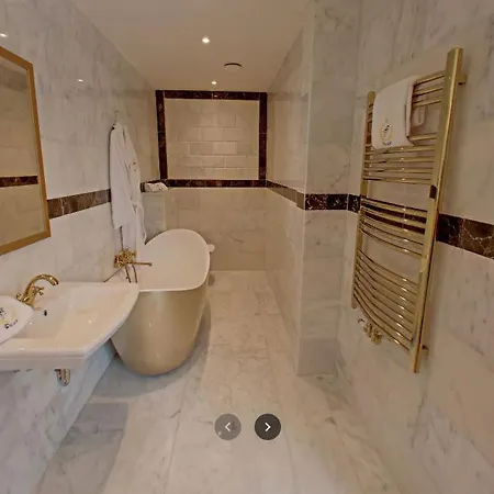 Friedrich Franz Palais فندق 4*