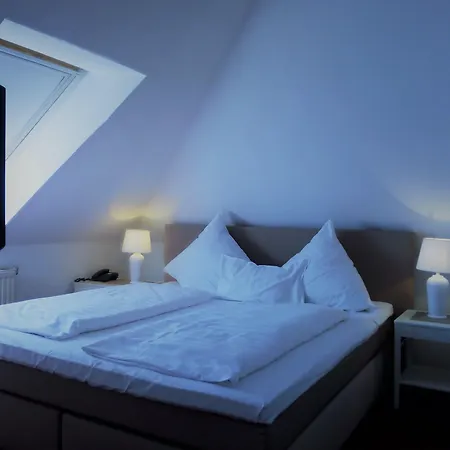 Szálloda Friedrich Franz Palais