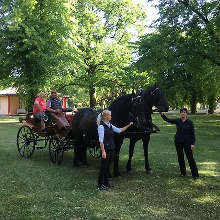 Friedrich Franz Palais Szálloda 4*