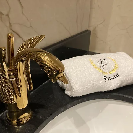 Friedrich Franz Palais